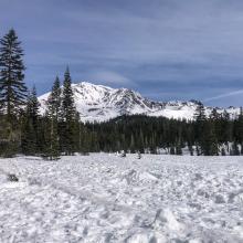 View from Bunny Flat