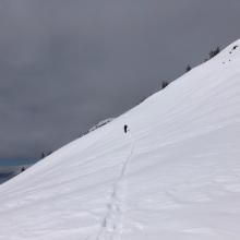 Wind Exposed Areas Thinning Out, Ridgetops Becoming Scoured