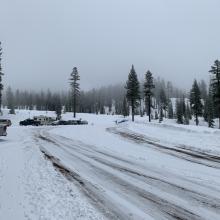 Bunny Flat situation. Mellow conditions at the trailhead changed drastically as one gained elevation.