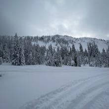 Panther Meadows, near treeline on Mt Shasta