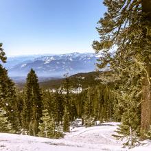 Below treeline, Green Butte ridge