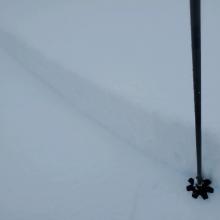 Storm slab this morning on small test slope below treeline