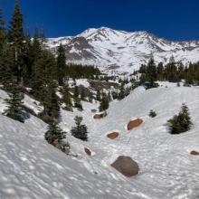 Approaching treeline, lower stretches of Avalanche Gulch