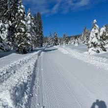 Fresh groomer out of the Pilgrim Creek Sno-park