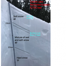 Snowpack structure 