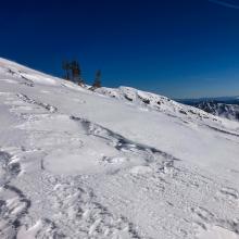 Above treeline, Green Butte ridge