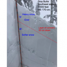 The snowpack displaying and unstable structure with heavier snow over lighter snow
