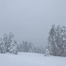 Top of Gray Butte