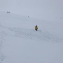 Three foot debris pile. East aspects above treeline