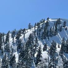 Storm slabs, east face of Gray Butte