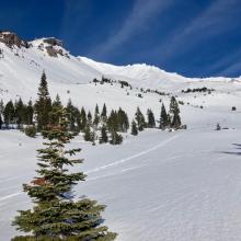 View of Avalanche Gulch near Horse Camp