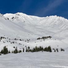 Avalanche Gulch near treeline