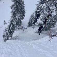 Example of a terrain trap and small wet loose avalanche activity.