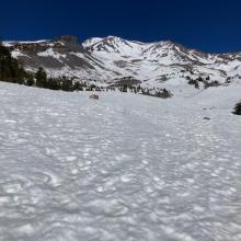 Treeline with Avalanche Gulch looming above