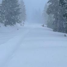 Parks Creek road near Caldwell Lakes trailhead