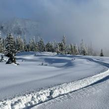 Lower Old Ski Bowl with Gray Butte in the background