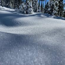 Surface hoar on top of the new snow from cold, clear nights. Take note if this classic weak layer is present before our next storm.