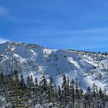 Gray Butte overview from Panther Meadows