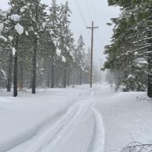 Power line road, just off 31 road