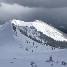 The northwest facing side of Gray Butte. Very little wind effect near and above treeline. Photo: N Meyers