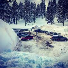 The epic snowbanks of Bunny Flat, a tourist attraction in and of themselves