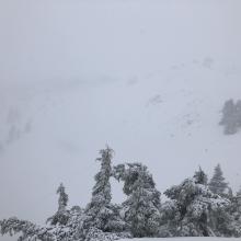 Looking toward Sun Bowl