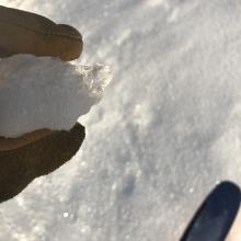 Ice crust found on scorn moraine top