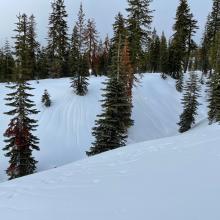 Melt runnels below treeline