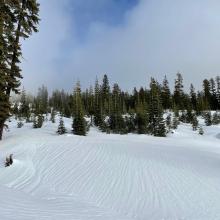 Melt runnels below treeline