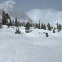 Melt runnels near treeline