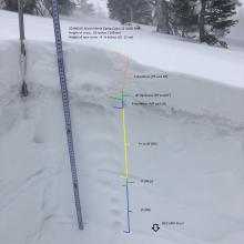 Snow profile above Horse Camp cabin SE aspect 8,000 Feet