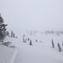 Conditions near treeline 8,100 feet SW (1:50 p.m.)