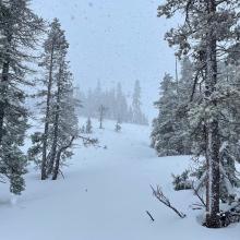 Periods of S2 snowfall during the morning.