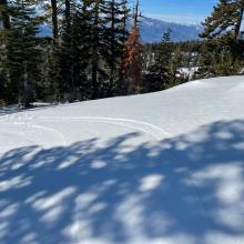 Green Butte ridge below treeline