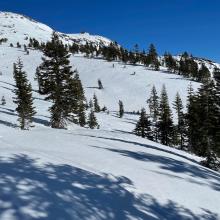 Near treeline snow surfaces