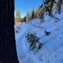 The summer trail up to Heart Lake. Very icy.