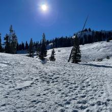 Snow surfaces leading up to Heart Lake...a lot of boot traffic.