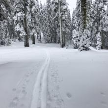 Ski penetration start of skin track 6,800 Feet. 