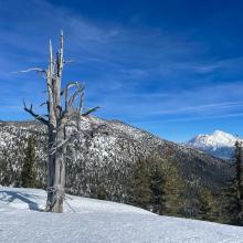 Near the PCT at the crest of the North Fork and Bear Creek drainages