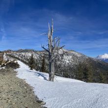 Near the PCT at the crest of the North Fork and Bear Creek drainages