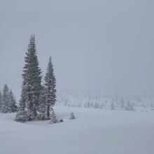 Near treeline, Old Ski Bowl, 1430 hours, fogged in