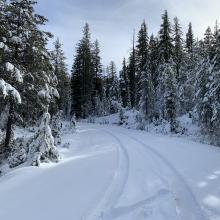 Parks Creek Road conditions