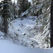 Small creeks running