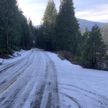 South Fork road just passed the forest boundary