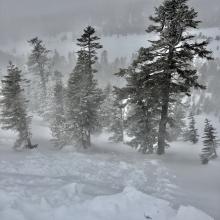 Small, chunky wind slabs were triggered along small test slopes. A  fresh breeze (19-24 mi/hr) out of the southeast was loading westerly slopes.