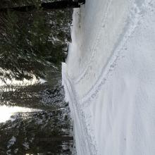 Quite a few 4x4 tracks to navigate at lower elevations