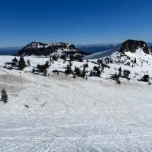 Dirty, rough snow near treeline