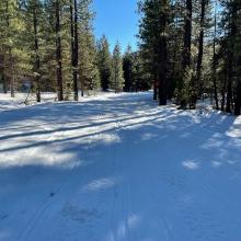 Example of groomed snowmobile trails, in good shape!