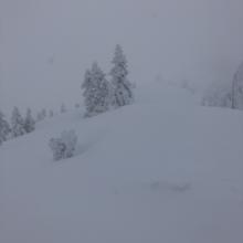 Low visibility above treeline