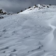 Widespread sastrugi features above treeline